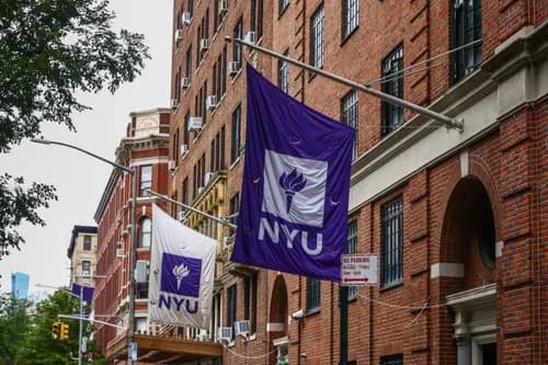 New York University
