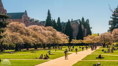 University of Washington