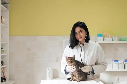 Animal & Veterinary Science